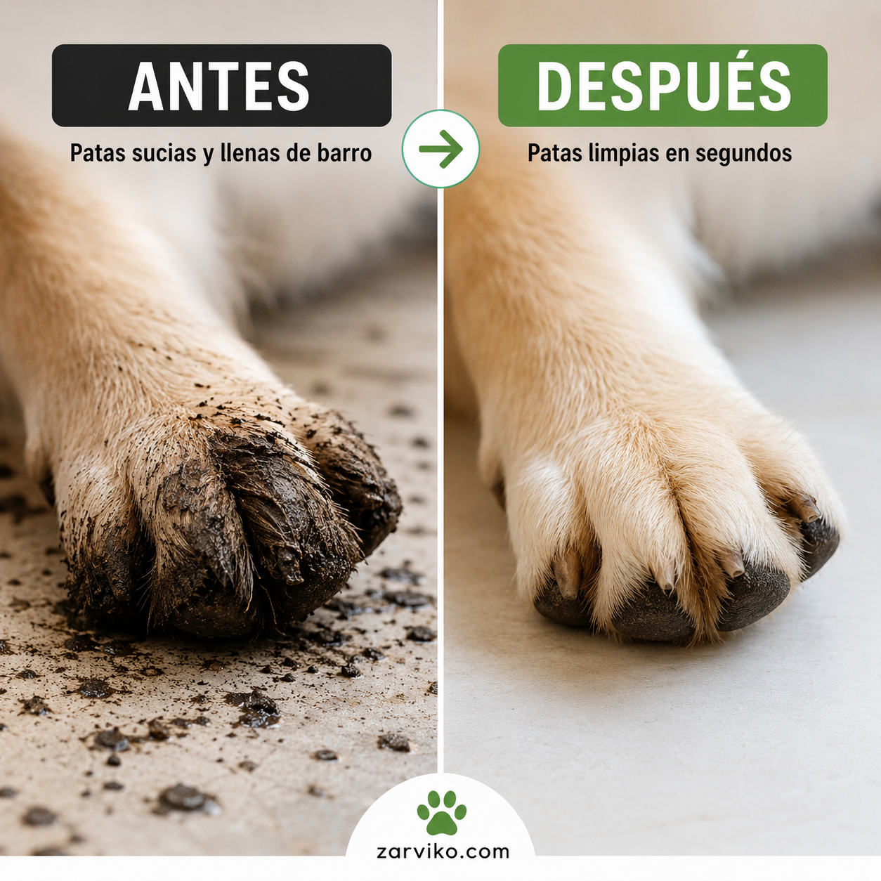 Limpiapatas para Perros